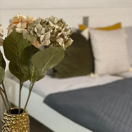 Vintage In The Heart Of The City Apartment *
