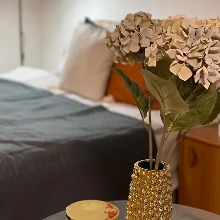 Vintage In The Heart Of The City Apartment