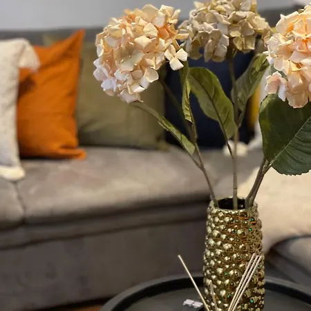 Vintage In The Heart Of The City Apartment *